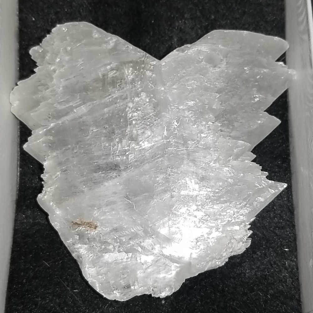 Fish Tail Angel Wing Selenite